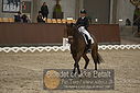 Filnavn=DSC_0310.JPG
Filstørrelse=351KiB
Dimensioner=1224x817
Dato for tilføjelse=%09 %365, %2018 DSC_0310.JPG