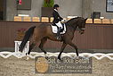 Filnavn=DSC_0312.JPG
Filstørrelse=348KiB
Dimensioner=1224x817
Dato for tilføjelse=%09 %365, %2018 DSC_0312.JPG