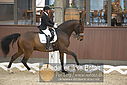 Filnavn=DSC_0317.JPG
Filstørrelse=304KiB
Dimensioner=1224x817
Dato for tilføjelse=%09 %365, %2018 DSC_0317.JPG