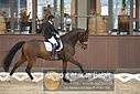 Filnavn=DSC_0318.JPG
Filstørrelse=301KiB
Dimensioner=1224x817
Dato for tilføjelse=%09 %365, %2018 DSC_0318.JPG