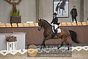 Filnavn=DSC_0326.JPG
Filstørrelse=293KiB
Dimensioner=1224x817
Dato for tilføjelse=%09 %366, %2018 DSC_0326.JPG