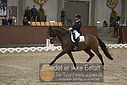 Filnavn=DSC_0331.JPG
Filstørrelse=357KiB
Dimensioner=1224x817
Dato for tilføjelse=%09 %366, %2018 DSC_0331.JPG