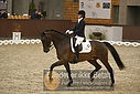 Filnavn=DSC_0334.JPG
Filstørrelse=321KiB
Dimensioner=1224x817
Dato for tilføjelse=%09 %366, %2018 DSC_0334.JPG