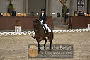 Filnavn=DSC_0338.JPG
Filstørrelse=356KiB
Dimensioner=1224x817
Dato for tilføjelse=%09 %366, %2018 DSC_0338.JPG