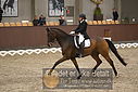 Filnavn=DSC_0366.JPG
Filstørrelse=329KiB
Dimensioner=1224x817
Dato for tilføjelse=%09 %366, %2018 DSC_0366.JPG