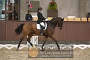 Filnavn=DSC_0371.JPG
Filstørrelse=358KiB
Dimensioner=1224x817
Dato for tilføjelse=%09 %366, %2018 DSC_0371.JPG