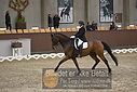 Filnavn=DSC_0385.JPG
Filstørrelse=374KiB
Dimensioner=1224x817
Dato for tilføjelse=%09 %366, %2018 DSC_0385.JPG