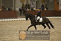Filnavn=DSC_0387.JPG
Filstørrelse=350KiB
Dimensioner=1224x817
Dato for tilføjelse=%09 %366, %2018 DSC_0387.JPG