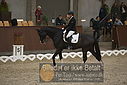 Filnavn=DSC_0398.JPG
Filstørrelse=318KiB
Dimensioner=1224x817
Dato for tilføjelse=%09 %366, %2018 DSC_0398.JPG