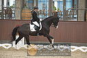 Filnavn=DSC_0402.JPG
Filstørrelse=316KiB
Dimensioner=1224x817
Dato for tilføjelse=%09 %366, %2018 DSC_0402.JPG