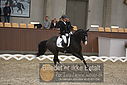 Filnavn=DSC_0406.JPG
Filstørrelse=352KiB
Dimensioner=1224x817
Dato for tilføjelse=%09 %366, %2018 DSC_0406.JPG