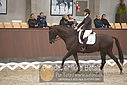 Filnavn=DSC_0427.JPG
Filstørrelse=343KiB
Dimensioner=1224x817
Dato for tilføjelse=%09 %367, %2018 DSC_0427.JPG