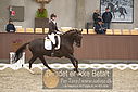 Filnavn=DSC_0432.JPG
Filstørrelse=330KiB
Dimensioner=1224x817
Dato for tilføjelse=%09 %367, %2018 DSC_0432.JPG