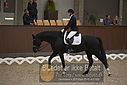 Filnavn=DSC_0460.JPG
Filstørrelse=308KiB
Dimensioner=1224x817
Dato for tilføjelse=%09 %367, %2018 DSC_0460.JPG