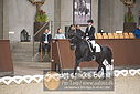 Filnavn=DSC_0467.JPG
Filstørrelse=311KiB
Dimensioner=1224x817
Dato for tilføjelse=%09 %367, %2018 DSC_0467.JPG
