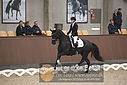Filnavn=DSC_0470.JPG
Filstørrelse=294KiB
Dimensioner=1224x817
Dato for tilføjelse=%09 %367, %2018 DSC_0470.JPG