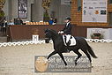 Filnavn=DSC_0474.JPG
Filstørrelse=338KiB
Dimensioner=1224x817
Dato for tilføjelse=%09 %367, %2018 DSC_0474.JPG