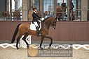 Filnavn=DSC_0478.JPG
Filstørrelse=332KiB
Dimensioner=1224x817
Dato for tilføjelse=%09 %367, %2018 DSC_0478.JPG