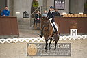 Filnavn=DSC_0487.JPG
Filstørrelse=323KiB
Dimensioner=1224x817
Dato for tilføjelse=%09 %367, %2018 DSC_0487.JPG