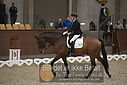 Filnavn=DSC_0499.JPG
Filstørrelse=322KiB
Dimensioner=1224x817
Dato for tilføjelse=%09 %367, %2018 DSC_0499.JPG
