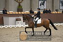 Filnavn=DSC_0522.JPG
Filstørrelse=343KiB
Dimensioner=1224x817
Dato for tilføjelse=%09 %367, %2018 DSC_0522.JPG
