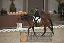 Filnavn=DSC_0537.JPG
Filstørrelse=341KiB
Dimensioner=1224x817
Dato for tilføjelse=%09 %368, %2018 DSC_0537.JPG