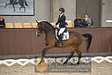 Filnavn=DSC_0548.JPG
Filstørrelse=306KiB
Dimensioner=1224x817
Dato for tilføjelse=%09 %368, %2018 DSC_0548.JPG