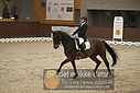 Filnavn=DSC_0557.JPG
Filstørrelse=356KiB
Dimensioner=1224x817
Dato for tilføjelse=%09 %368, %2018 DSC_0557.JPG