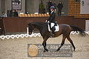 Filnavn=DSC_0562.JPG
Filstørrelse=313KiB
Dimensioner=1224x817
Dato for tilføjelse=%09 %368, %2018 DSC_0562.JPG