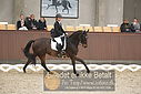 Filnavn=DSC_0570.JPG
Filstørrelse=319KiB
Dimensioner=1224x817
Dato for tilføjelse=%09 %368, %2018 DSC_0570.JPG