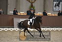 Filnavn=DSC_0571.JPG
Filstørrelse=307KiB
Dimensioner=1224x817
Dato for tilføjelse=%09 %368, %2018 DSC_0571.JPG