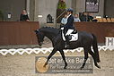 Filnavn=DSC_0596.JPG
Filstørrelse=307KiB
Dimensioner=1224x817
Dato for tilføjelse=%09 %368, %2018 DSC_0596.JPG