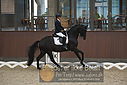Filnavn=DSC_0601.JPG
Filstørrelse=338KiB
Dimensioner=1224x817
Dato for tilføjelse=%09 %368, %2018 DSC_0601.JPG