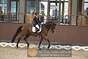 Filnavn=DSC_0620.JPG
Filstørrelse=368KiB
Dimensioner=1224x817
Dato for tilføjelse=%09 %368, %2018 DSC_0620.JPG