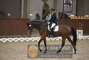 Filnavn=DSC_0623.JPG
Filstørrelse=330KiB
Dimensioner=1224x817
Dato for tilføjelse=%09 %368, %2018 DSC_0623.JPG