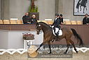 Filnavn=DSC_0640.JPG
Filstørrelse=303KiB
Dimensioner=1224x817
Dato for tilføjelse=%09 %369, %2018 DSC_0640.JPG