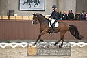 Filnavn=DSC_0641.JPG
Filstørrelse=302KiB
Dimensioner=1224x817
Dato for tilføjelse=%09 %369, %2018 DSC_0641.JPG