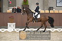 Filnavn=DSC_0642.JPG
Filstørrelse=321KiB
Dimensioner=1224x817
Dato for tilføjelse=%09 %369, %2018 DSC_0642.JPG