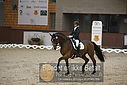 Filnavn=DSC_0643.JPG
Filstørrelse=313KiB
Dimensioner=1224x817
Dato for tilføjelse=%09 %369, %2018 DSC_0643.JPG