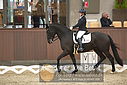 Filnavn=DSC_0650.JPG
Filstørrelse=295KiB
Dimensioner=1224x817
Dato for tilføjelse=%09 %369, %2018 DSC_0650.JPG