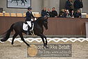Filnavn=DSC_0665.JPG
Filstørrelse=330KiB
Dimensioner=1224x817
Dato for tilføjelse=%09 %369, %2018 DSC_0665.JPG