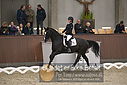 Filnavn=DSC_0689.JPG
Filstørrelse=309KiB
Dimensioner=1224x817
Dato for tilføjelse=%09 %370, %2018 DSC_0689.JPG