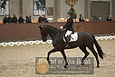 Filnavn=DSC_0701.JPG
Filstørrelse=339KiB
Dimensioner=1224x817
Dato for tilføjelse=%09 %370, %2018 DSC_0701.JPG