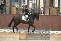Filnavn=DSC_0704.JPG
Filstørrelse=342KiB
Dimensioner=1224x817
Dato for tilføjelse=%09 %370, %2018 DSC_0704.JPG
