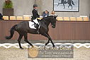 Filnavn=DSC_0714.JPG
Filstørrelse=307KiB
Dimensioner=1224x817
Dato for tilføjelse=%09 %370, %2018 DSC_0714.JPG
