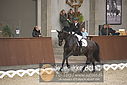 Filnavn=DSC_0718.JPG
Filstørrelse=307KiB
Dimensioner=1224x817
Dato for tilføjelse=%09 %370, %2018 DSC_0718.JPG