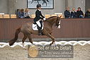 Filnavn=DSC_0743.JPG
Filstørrelse=334KiB
Dimensioner=1224x817
Dato for tilføjelse=%09 %370, %2018 DSC_0743.JPG