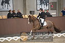 Filnavn=DSC_0750.JPG
Filstørrelse=323KiB
Dimensioner=1224x817
Dato for tilføjelse=%09 %370, %2018 DSC_0750.JPG