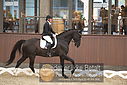 Filnavn=DSC_0770.JPG
Filstørrelse=316KiB
Dimensioner=1224x817
Dato for tilføjelse=%09 %370, %2018 DSC_0770.JPG