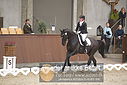 Filnavn=DSC_0774.JPG
Filstørrelse=298KiB
Dimensioner=1224x817
Dato for tilføjelse=%09 %370, %2018 DSC_0774.JPG